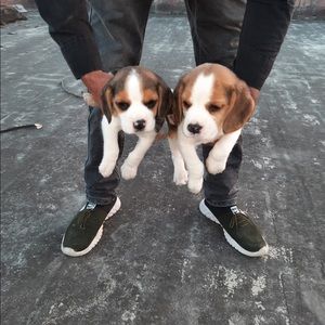 Meet your Posher, Pooja